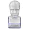 Design Toscano Porcelain Phrenology Head Statue